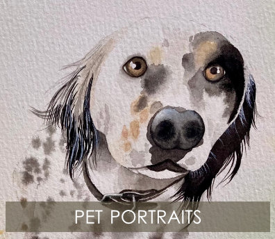 Pet Portraits